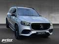 Mercedes-Benz GLS 580 4M AMG/23"/Multibeam/Head-up/Pano-SD/AHK Plateado - thumbnail 5