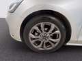 Ford Focus 1.0t ecoboost h ST-Line 125cv Grigio - thumbnail 12