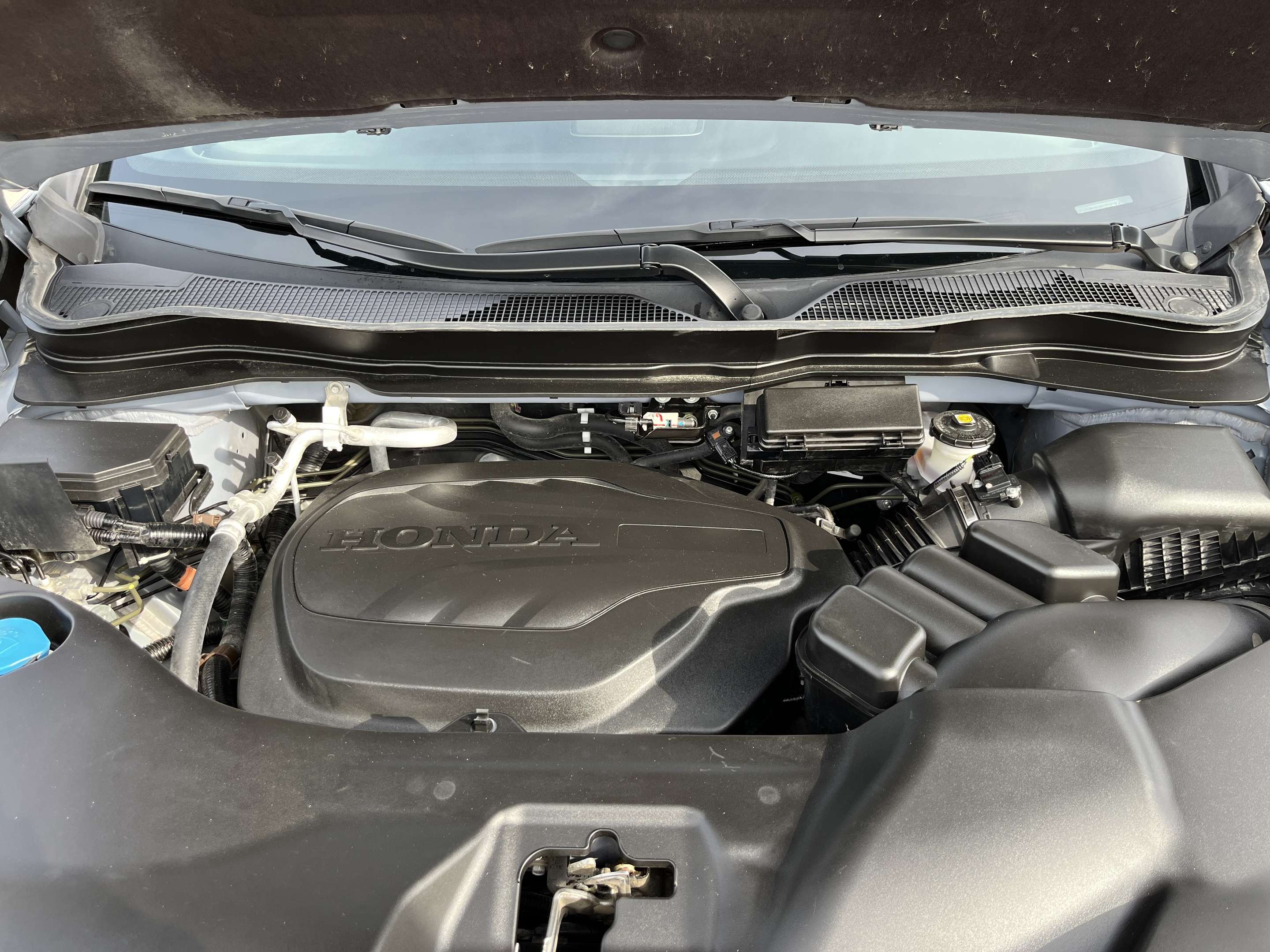 2023 Honda Passport