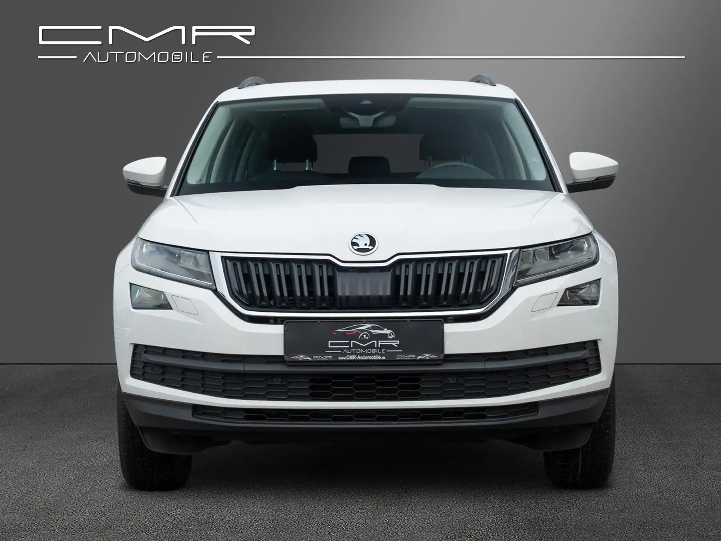 Skoda Kodiaq Ambition Business-Pak. Amundsen Traveller Blanc - 2