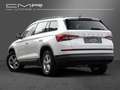 Skoda Kodiaq Ambition Business-Pak. Amundsen Traveller Blanc - thumbnail 6