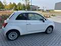 Fiat 500 500 1.0 Hybrid Dolcevita - CarPlay PDC PanoDak Blanc - thumbnail 4