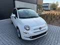 Fiat 500 500 1.0 Hybrid Dolcevita - CarPlay PDC PanoDak Blanc - thumbnail 3