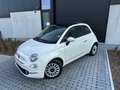 Fiat 500 500 1.0 Hybrid Dolcevita - CarPlay PDC PanoDak Blanc - thumbnail 2