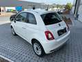 Fiat 500 500 1.0 Hybrid Dolcevita - CarPlay PDC PanoDak Blanc - thumbnail 7