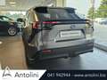 Subaru Solterra 71,4 kWh 4E-xperience 4WD "8 ANNI GARANZIA" Сірий - thumbnail 5