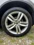 Volkswagen Touareg 3.0 V6 tdi Executive 245cv tiptronic - thumbnail 9