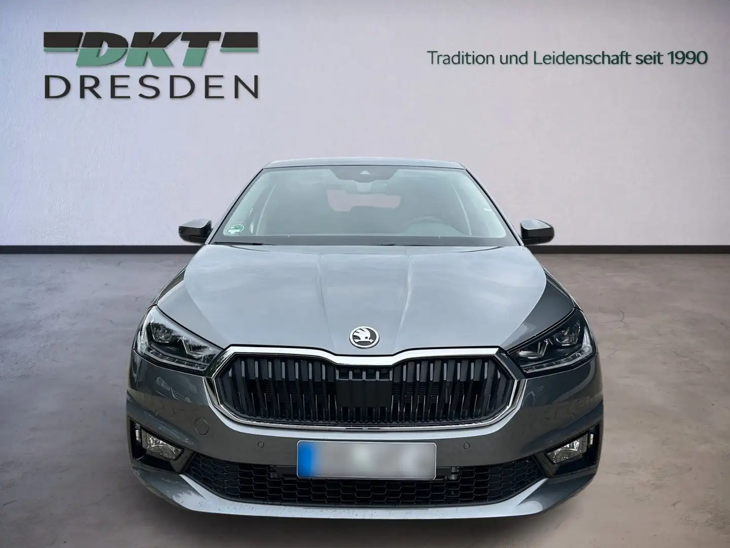 Skoda Fabia Tour/Winter+/LHZ/Fahrass. Grau - 2