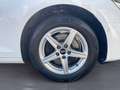 Audi A4 35 TDI LED/AHK/Standhz./ACC/Assist/uvm. Bianco - thumbnail 12
