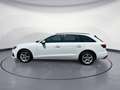Audi A4 35 TDI LED/AHK/Standhz./ACC/Assist/uvm. Weiß - thumbnail 3