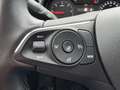 Opel Grandland X Grandland X 1,6 CDTI BlueInjection Edition Weiß - thumbnail 19