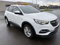 Opel Grandland X Grandland X 1,6 CDTI BlueInjection Edition Weiß - thumbnail 9