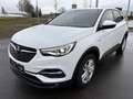 Opel Grandland X Grandland X 1,6 CDTI BlueInjection Edition Weiß - thumbnail 2