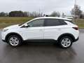 Opel Grandland X Grandland X 1,6 CDTI BlueInjection Edition Weiß - thumbnail 4