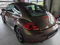 Volkswagen Beetle The Beetle The 1.2 TSI Design Braun - thumbnail 3