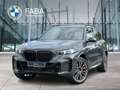 BMW X5 xDrive40d M Sportpaket B&W Surround DAB LED Grau - thumbnail 1