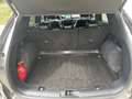 Ford Kuga Kuga 2.0 TDCi EB FWD MHEV ST-Line X/CAMERA/GPS Grijs - thumbnail 12
