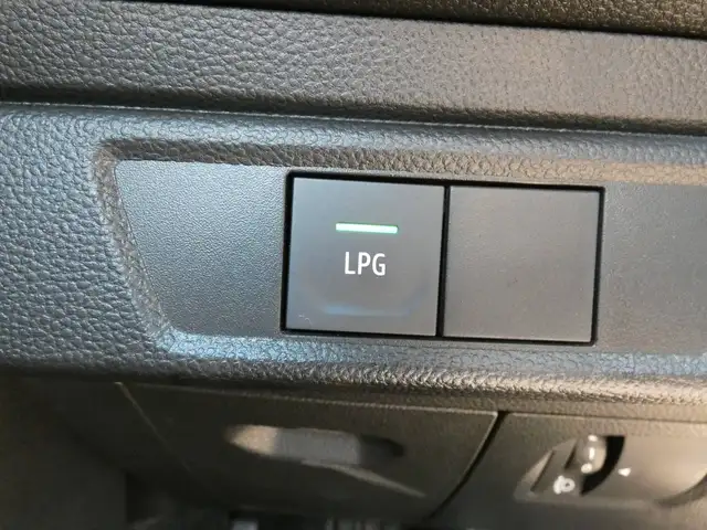 Dacia Jogger view 15