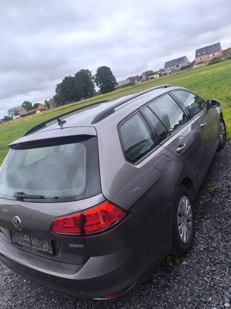 Volkswagen Golf Variant Golf Variant 1.6 TDI BlueMotion Comfortline Beige - 1