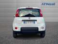 Fiat Panda Panda 1.0 Firefly Hybrid S&S 70cv 5p.Ti Blanc - thumbnail 6