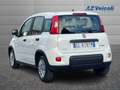 Fiat Panda Panda 1.0 Firefly Hybrid S&S 70cv 5p.Ti Blanc - thumbnail 5
