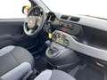 Fiat Panda Panda 1.0 Firefly Hybrid S&S 70cv 5p.Ti Blanc - thumbnail 14