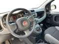 Fiat Panda Panda 1.0 Firefly Hybrid S&S 70cv 5p.Ti Blanc - thumbnail 9