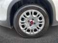 Fiat Panda Panda 1.0 Firefly Hybrid S&S 70cv 5p.Ti Blanc - thumbnail 8