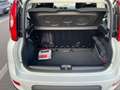 Fiat Panda Panda 1.0 Firefly Hybrid S&S 70cv 5p.Ti Blanc - thumbnail 7