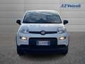 Fiat Panda Panda 1.0 Firefly Hybrid S&S 70cv 5p.Ti Blanc - thumbnail 2