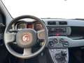 Fiat Panda Panda 1.0 Firefly Hybrid S&S 70cv 5p.Ti Blanc - thumbnail 10