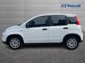 Fiat Panda Panda 1.0 Firefly Hybrid S&S 70cv 5p.Ti Blanc - thumbnail 4
