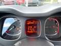 Fiat Panda Panda 1.0 Firefly Hybrid S&S 70cv 5p.Ti Blanc - thumbnail 12