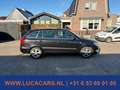 Skoda Fabia Combi 1.2 TDI Greenline Clima Schwarz - thumbnail 6
