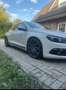 Volkswagen Scirocco 2.0 TDI 103 kW Weiß - thumbnail 5