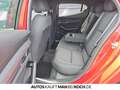 Mazda 3 5HB 2.5L 140ps 6AT FWD Homura ACC HUD Bluetooth Rot - thumbnail 8