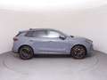 CUPRA Terramar VZ 2.0 TSI 265 PS DSG 4Drive Grau - thumbnail 40