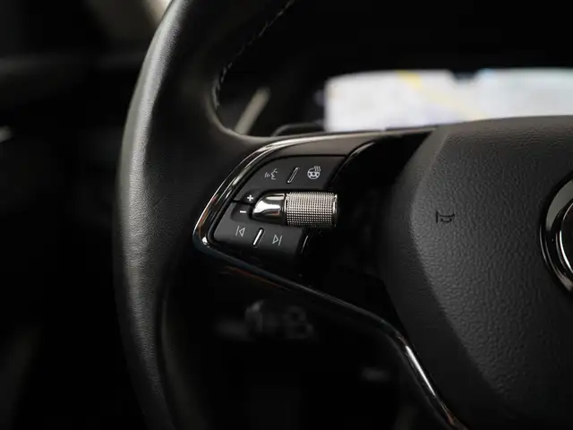 Skoda Octavia view 9