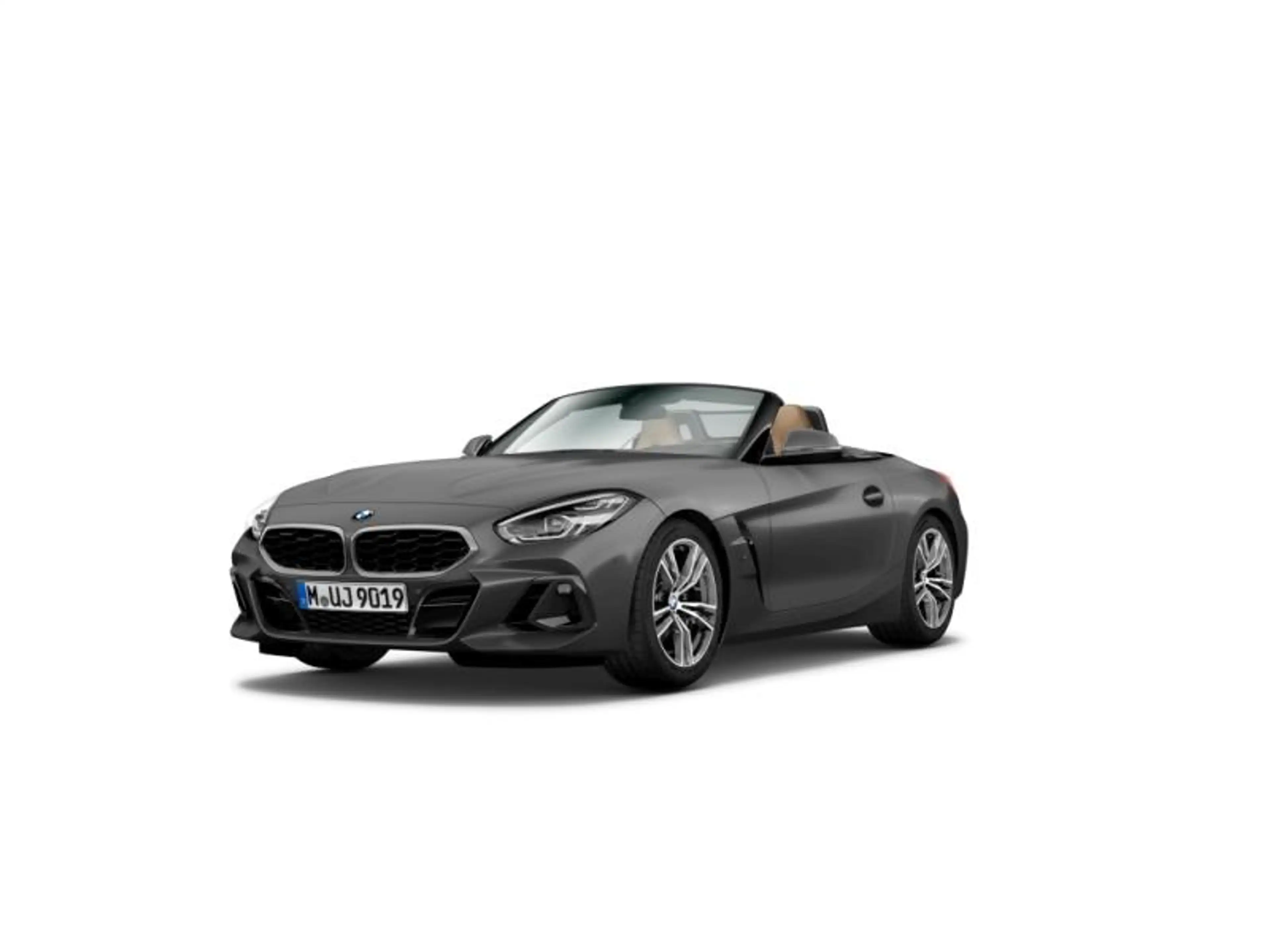 BMW Z4 sDrive30i/Frozen Grey II/M-Sport/Harman