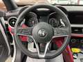 Alfa Romeo Stelvio 2.0 Turbo 16V AT8-Q4 1j Garantie Wit - thumbnail 14