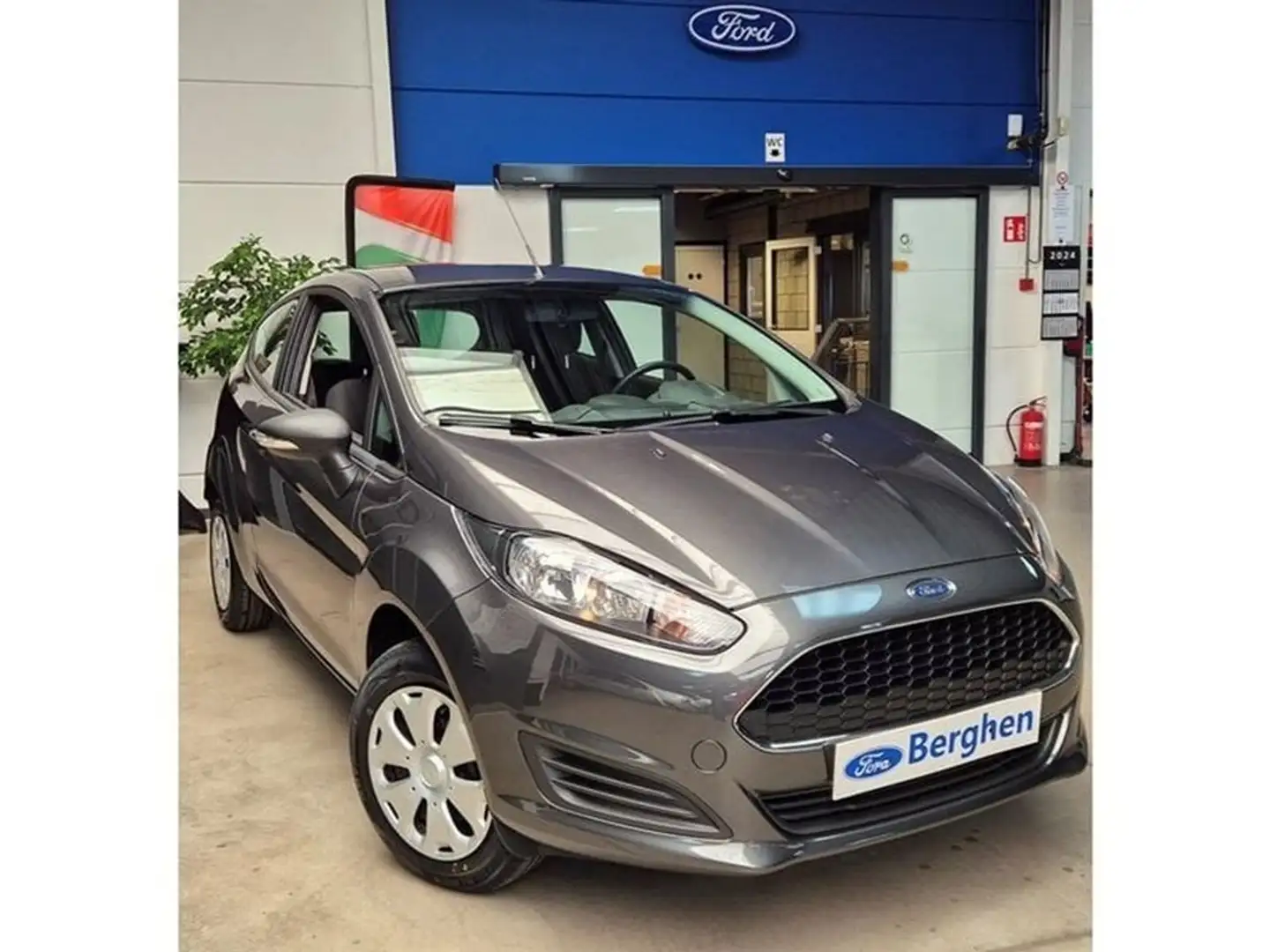 Ford Fiesta Trend Gris - 1