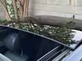 Mercedes-Benz S 350 S 350 BlueTec / d 4Matic L Grau - thumbnail 8