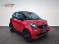 smart forTwo fortwo coupe Basis 52kW Klima Noir - thumbnail 1