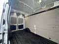 Ford Transit Transit Kasten 2,0 EcoBlue L3H3 350 Trend Weiß - thumbnail 20