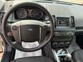 Land Rover Freelander Freelander 2.2 eD4 2WD S.W. S Bianco - thumbnail 9