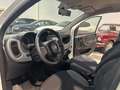 Fiat Panda 1.0 hybrid City Cross s&s 70cv - thumbnail 17