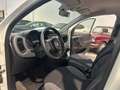 Fiat Panda 1.0 hybrid City Cross s&s 70cv - thumbnail 16