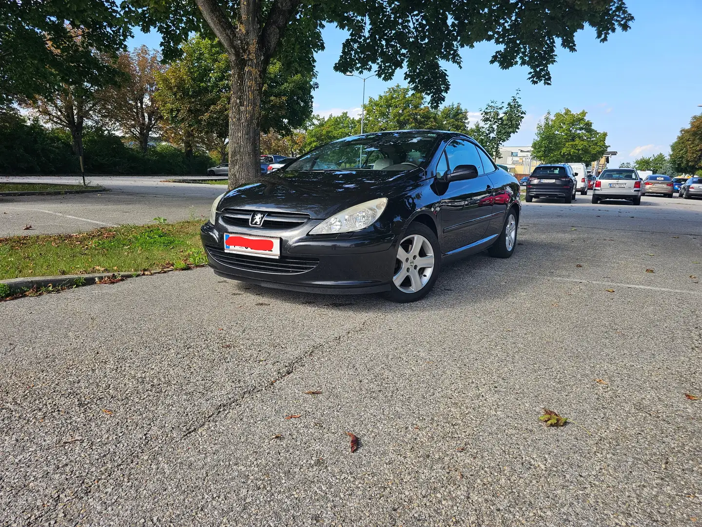 Peugeot 307 307 CC 1,6 16V Schwarz - 1