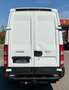 Iveco Daily Blanco - thumbnail 5