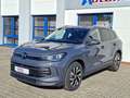 Volkswagen Tiguan 1.5 eTSI Life Ahk,Matrix,IQ,Navi,Kamera Gris - thumbnail 4
